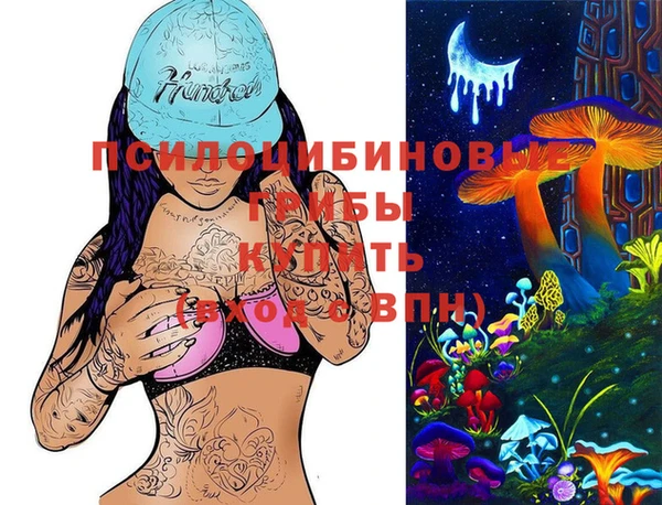 мдпв Арсеньев