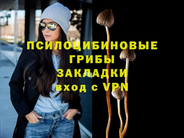 МДПВ Богородск