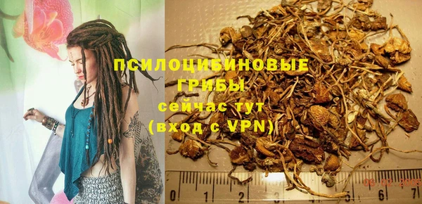мдпв Арсеньев