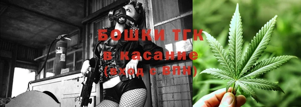 МДПВ Богородск
